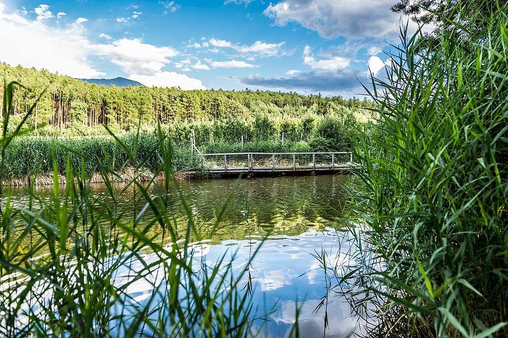 Вілла Walderhof Natz Екстер'єр фото